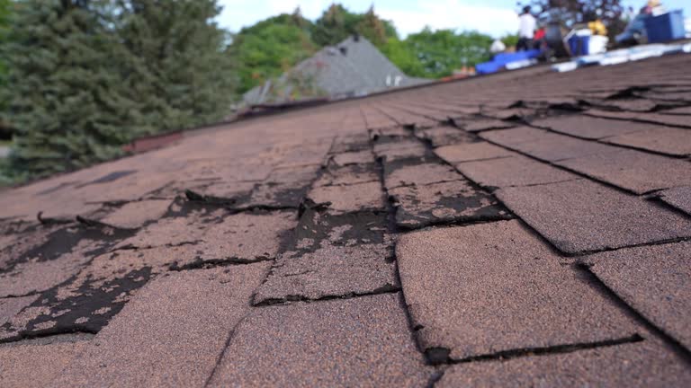 Best Gutter Installation and Repair  in Lincoln Village, OH